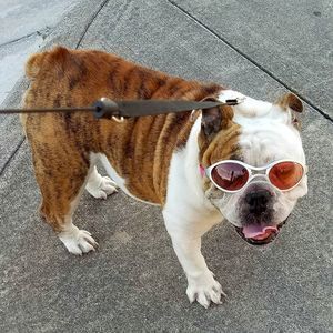 Meet your Posher, Greg